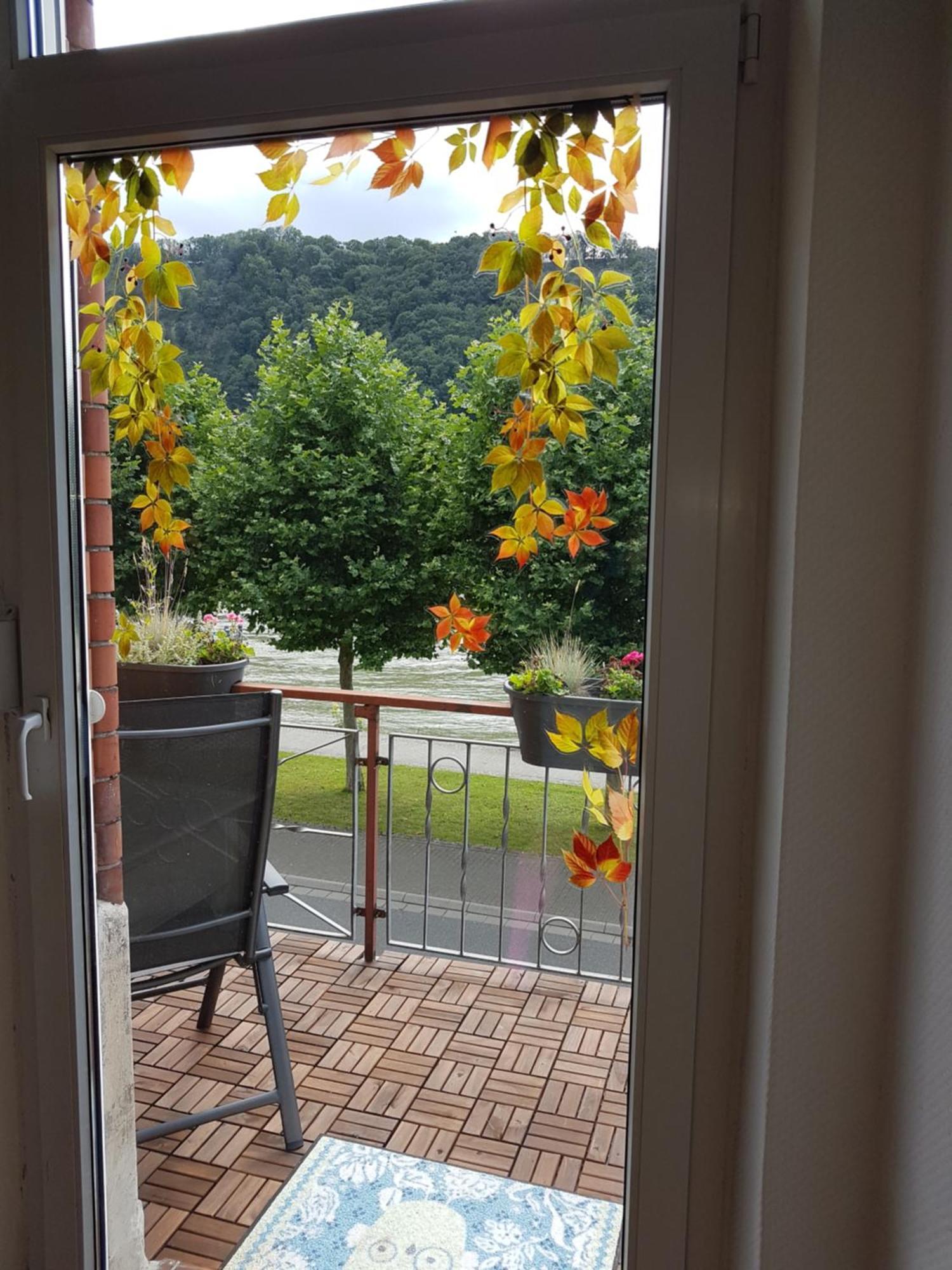 Apartment Haus Rheinglueck 